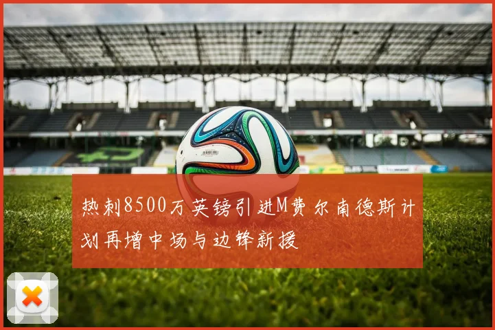 热刺8500万英镑引进M费尔南德斯计划再增中场与边锋新援