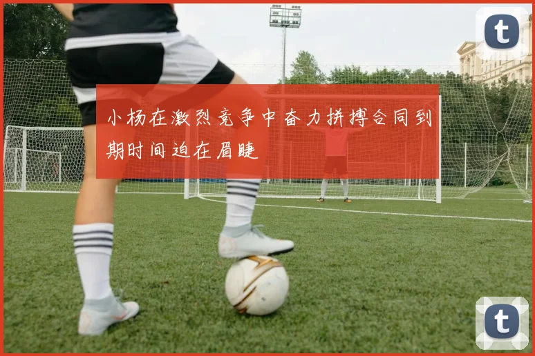 小杨在激烈竞争中奋力拼搏合同到期时间迫在眉睫
